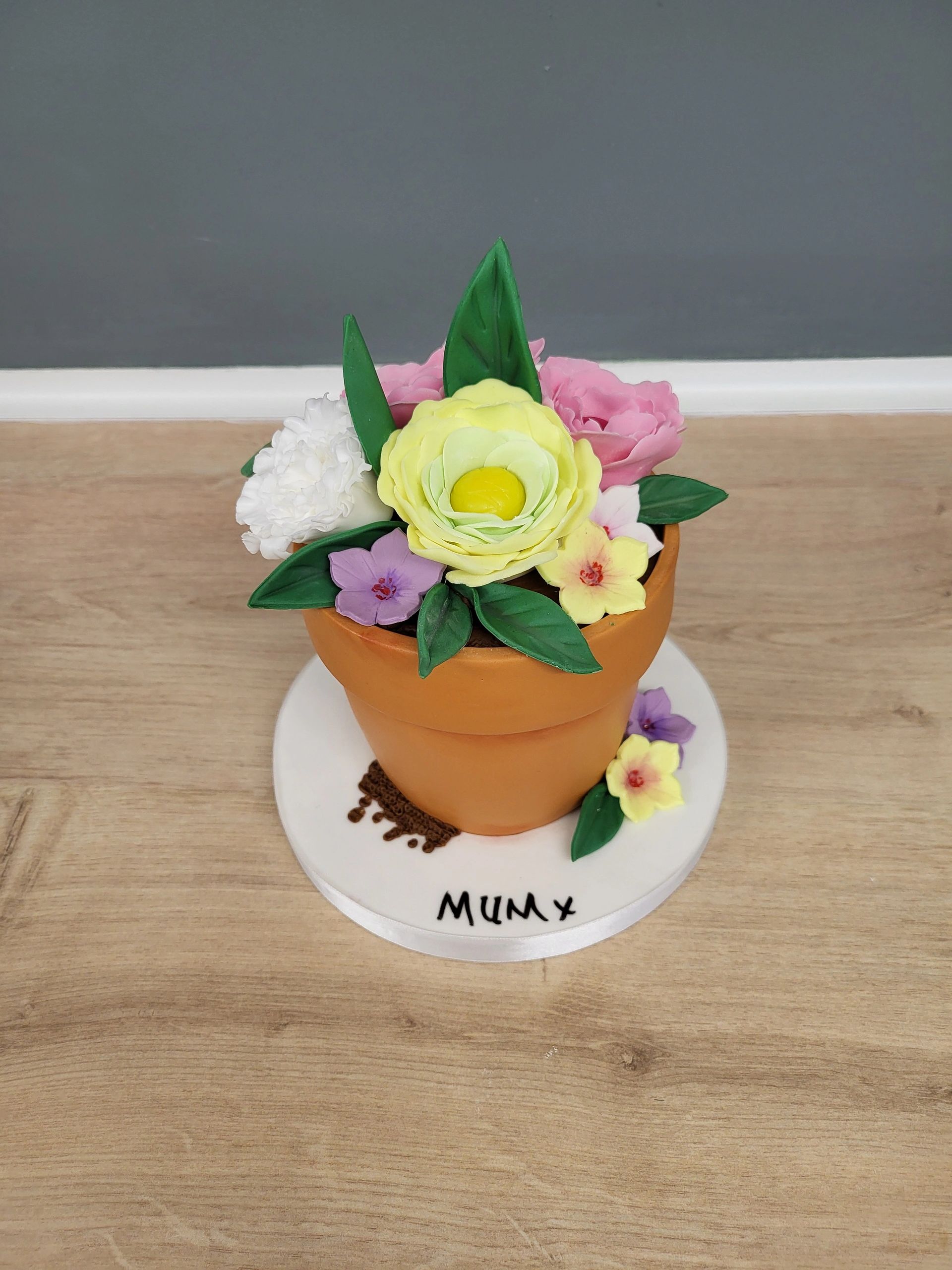 3d Plant pot cake
