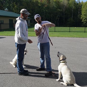 two dog trainers talking to each other, two yellow labs sitting near them.