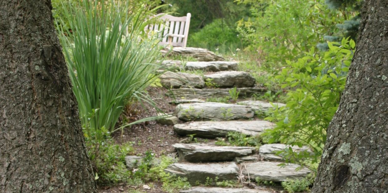 Stone steps in meditation garden leading to bench