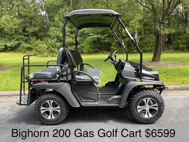 200 Bighorn Gas Golf Cart