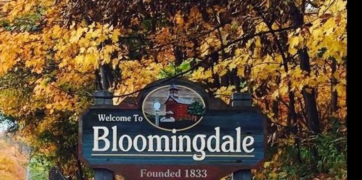 Bloomingdale, Illinois real estate and homes for sale, served by Garry Real Estate.