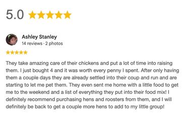 5 Star Google Review of Outlaw Hatchery