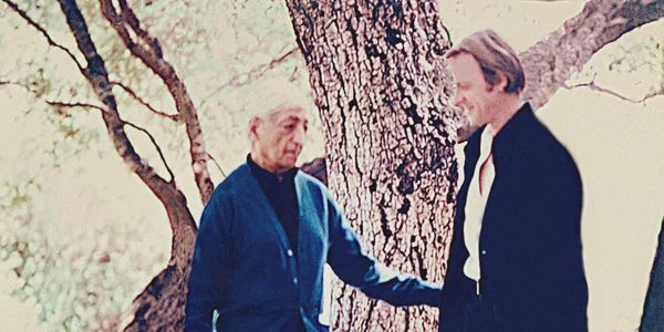 Two elderly men stand and converse near a large tree outdoors.