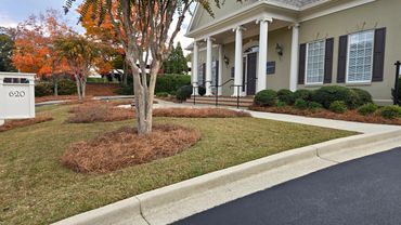 A building with white columns and autumn trees in front.