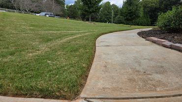 Curved concrete walkway beside freshly mowed grassy hill with trees.