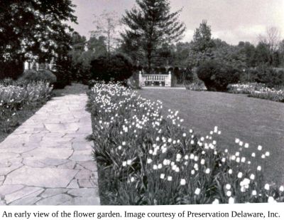 Black and white photo of a flower garden with pathway and bench.