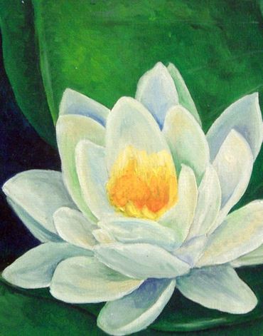 Lily at the Lake 10" x 10"