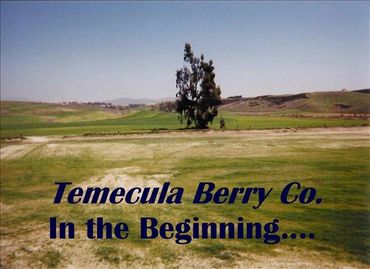 history of where it started