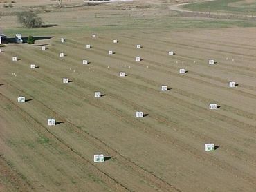 setting up irrigation for blueberry farm