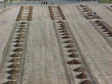 creating space for the blueberry bushes