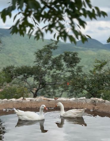Malundu Wilderness estate in Zambia for sale