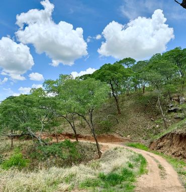 Malundu Wilderness estate in Zambia for sale