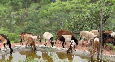 Malundu Wilderness estate in Zambia for sale