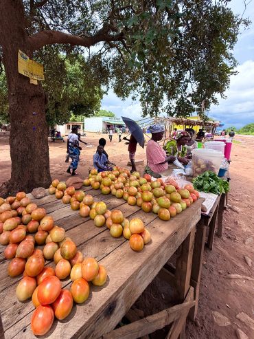 Malundu Wilderness Estates. Zambia .Beyond the estate's boundaries a culturally rich region, where authentic community life and traditional values remain an integral part of the landscape.