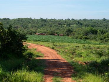 Malundu Wilderness Estate for sale. Zambia. Beyond the estate's boundaries a culturally rich region, where authentic community life and traditional values remain an integral part of the landscape.