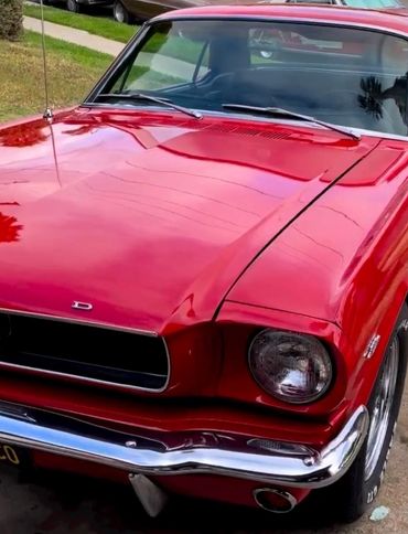 1966 Mustang Coupe C code restoration