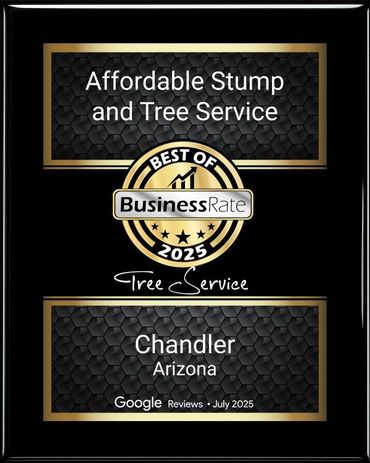 Best of 2025 Tree Service Award plaque for Affordable Stump and Tree Service in Chandler, Arizona.