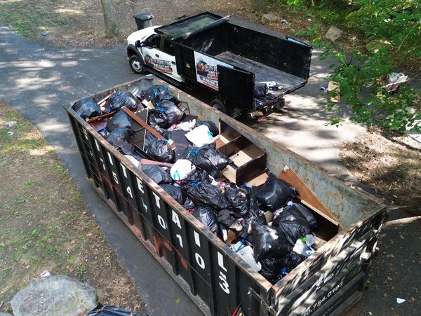 dumpster junk removal