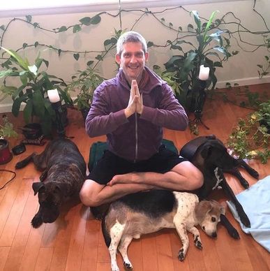 Loren Abrams, yoga with dogs, animal lover, yogi practitioner, meditation
