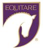 Equitare, barrel racing tack, synthetic western saddle, cob bridle, used tack, horse tack online
