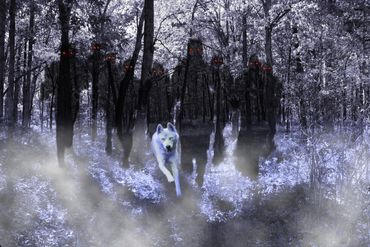 Wolf-form & Wraiths running for rescue and vengeance, from chapter "Sara (Dane's story)." Art: JEE