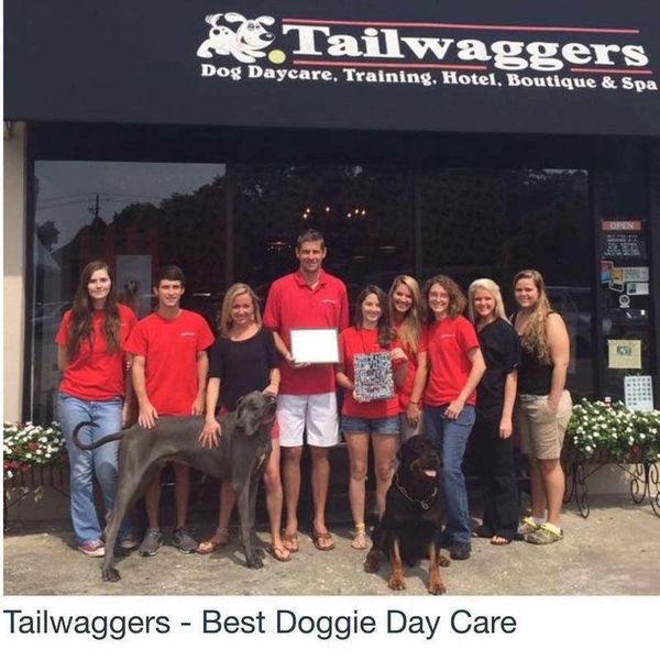Island Tailwaggers best dog daycare