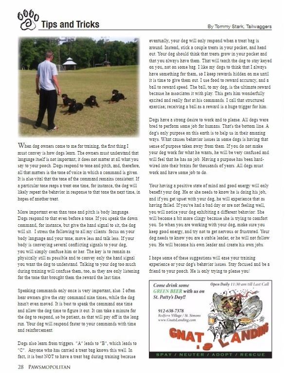 Tommy Stark news article