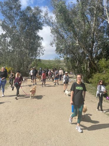 La Pawz pack walk in Laguna Niguel.