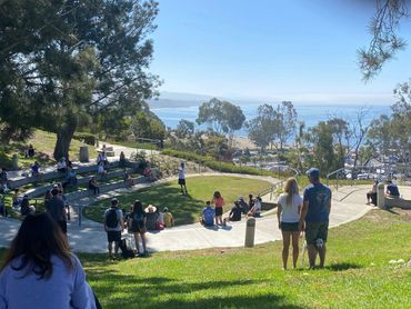 Dog class at Dana Point, CA park.