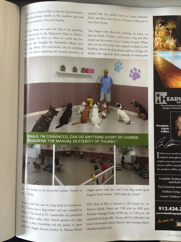 Tommy Stark in the news dogs