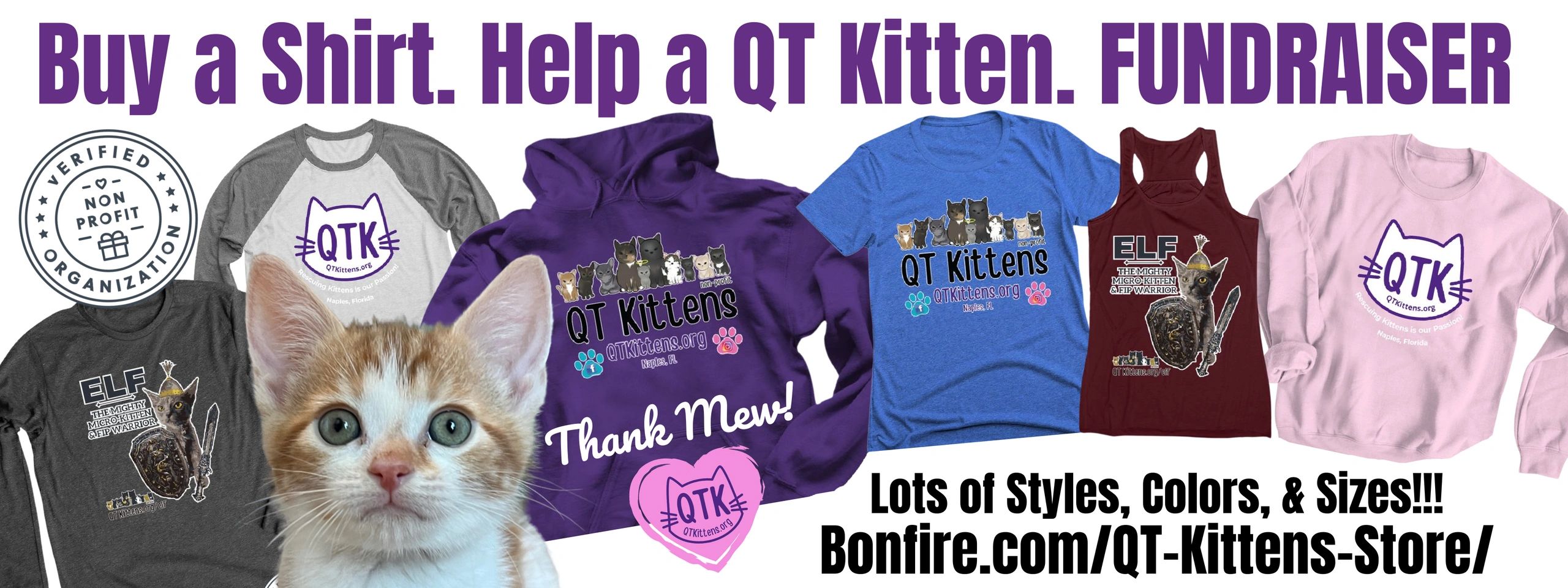 kitten in front of QT Kitten shirts that are available to purchase as a fundraiser