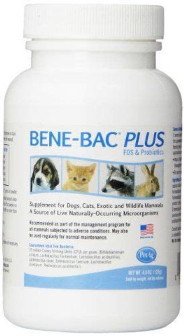 Bene-Bac Plus Probiotics