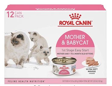 Royal Canin Mother and Baby Wet Cat Food