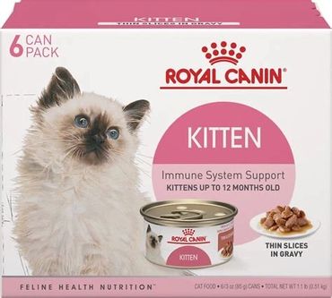 Royal Canin Wet Kitten Food