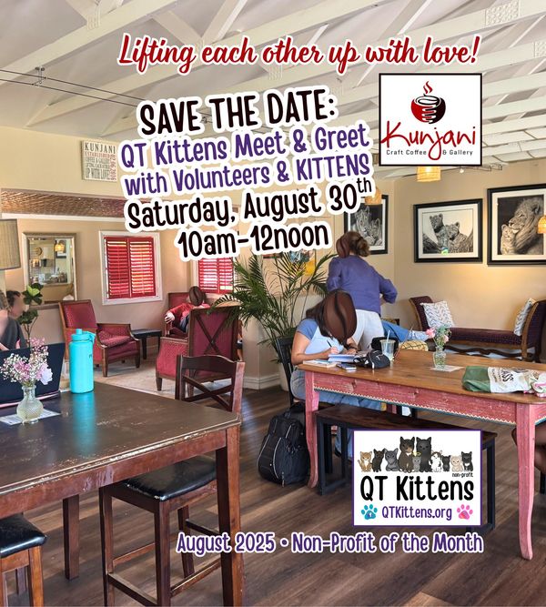 Kunjani Craft Coffee & Gallery photos showcasing QT Kittens as the non-profit of the month.