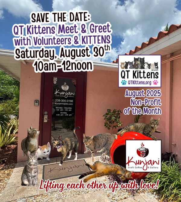 Kunjani Craft Coffee & Gallery photos showcasing QT Kittens as the non-profit of the month.