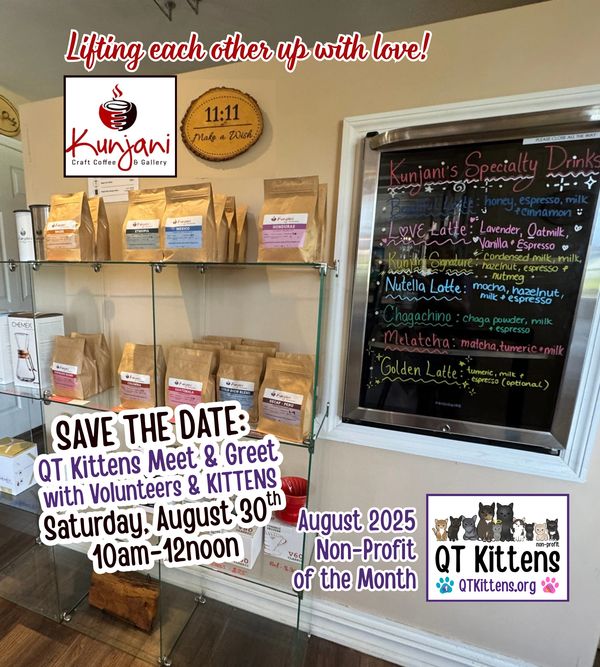 Kunjani Craft Coffee & Gallery photos showcasing QT Kittens as the non-profit of the month.