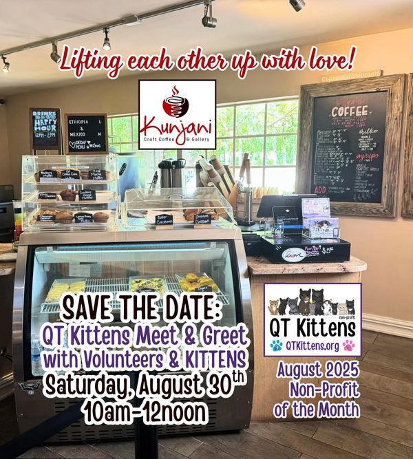 Kunjani Craft Coffee & Gallery photos showcasing QT Kittens as the non-profit of the month.