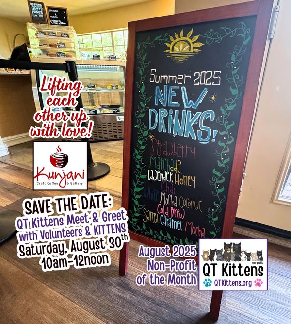 Kunjani Craft Coffee & Gallery photos showcasing QT Kittens as the non-profit of the month.