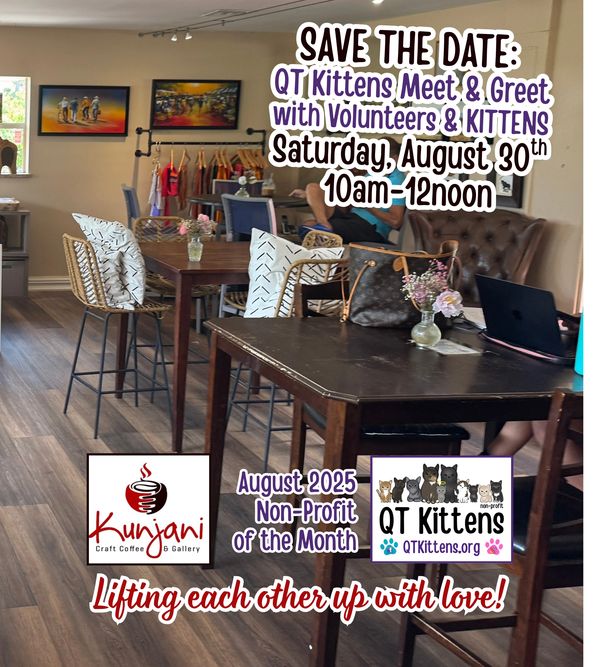 Kunjani Craft Coffee & Gallery photos showcasing QT Kittens as the non-profit of the month.