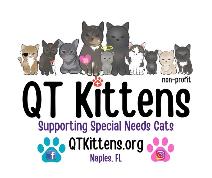 QT Kittens Logo