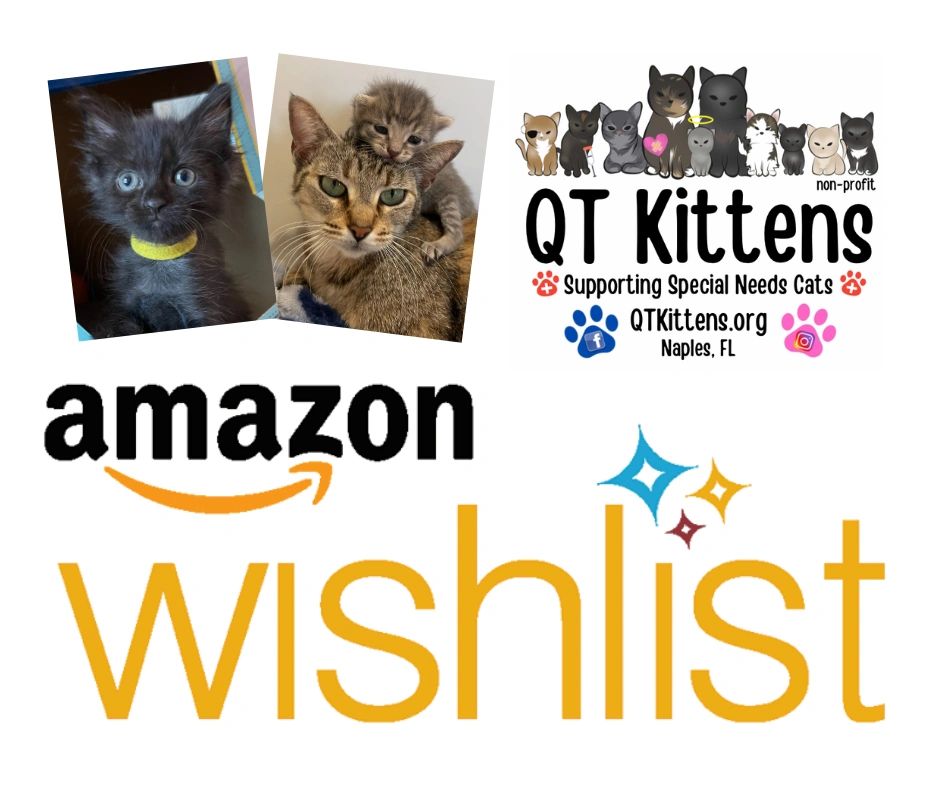 Amazon Wishlist logo for QT Kittens