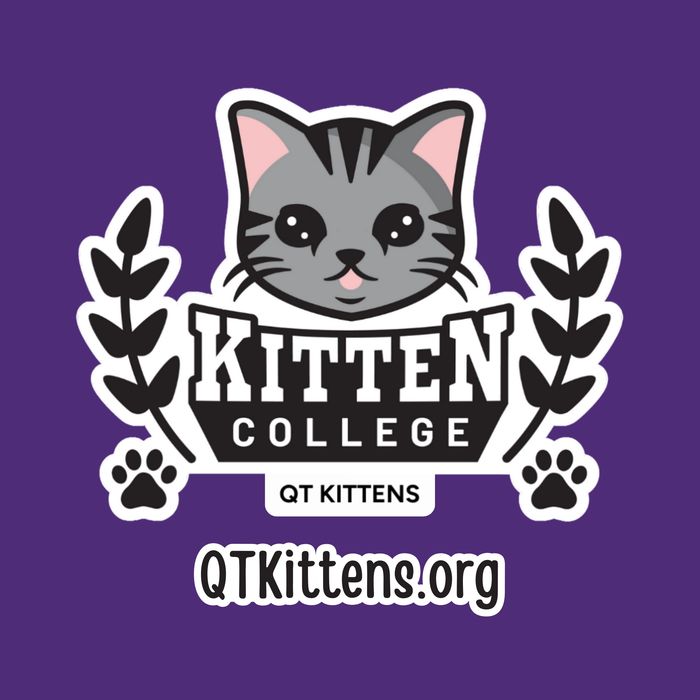 QT Kittens Kitten College Satellite Campus Logo