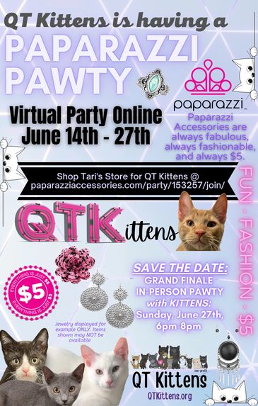 QT KITTENS PAPARAZZI PAWTY @ TARI'S SHOP Virtual Party Online with a Grand Finale In person Party