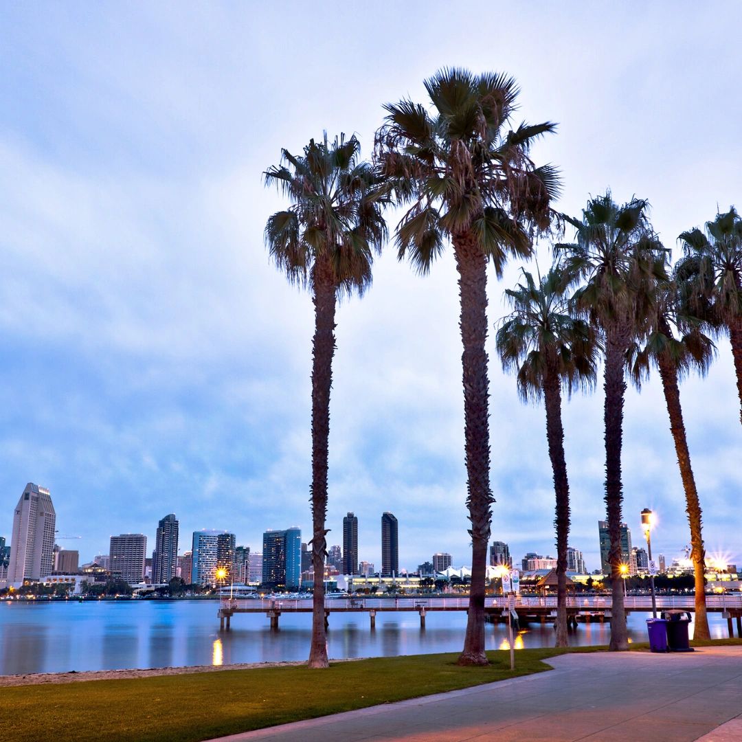 Palm trees by the waterfront with a city skyline at dusk.