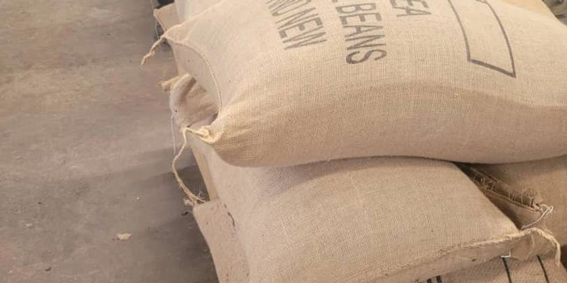 Stack of burlap sacks filled with beans on a concrete floor.