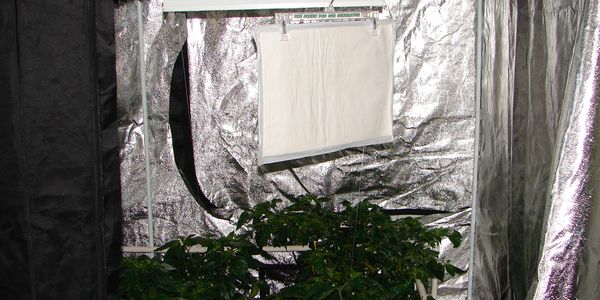GROW TENT WITH CO2 PAD