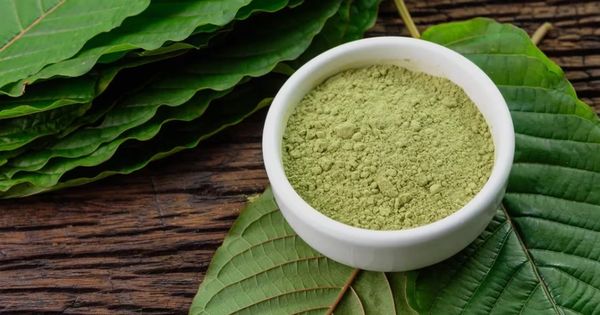 Green powder in a white bowl on green leaves.