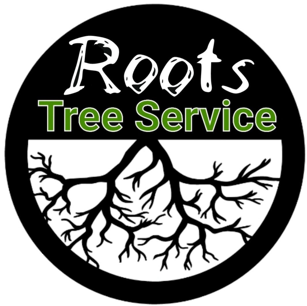 Tree Service Lake Geneva, WI - ISA Certified Arborist ...
