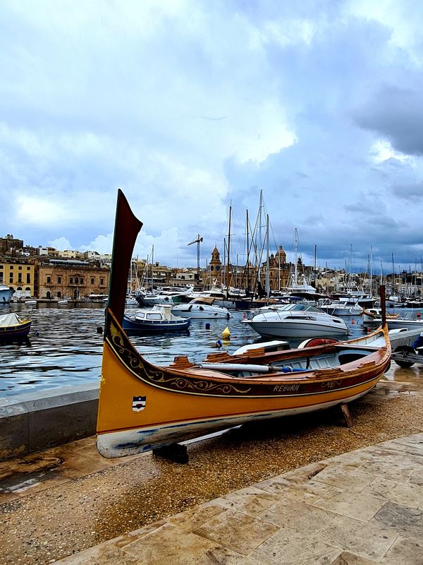 This is my fave commute across the harbour.  + add champagne picnic too